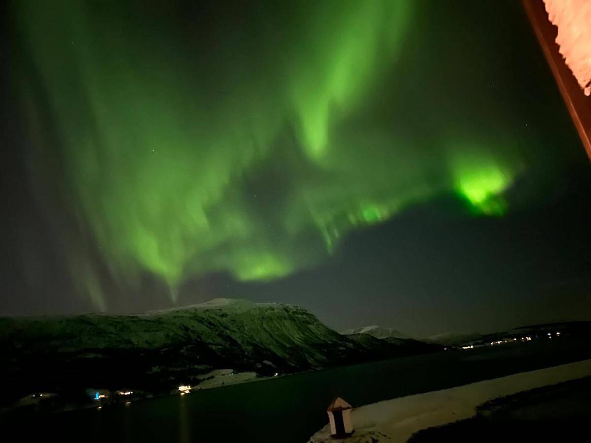 Malangen Arctic Sealodge Cabin 10 in Balsfjord