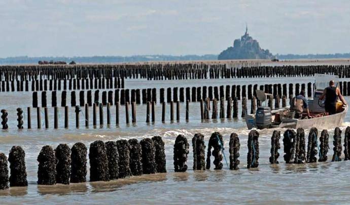 Mont gîte en Baie in Genêts, Baie du Mont-Saint-Michel