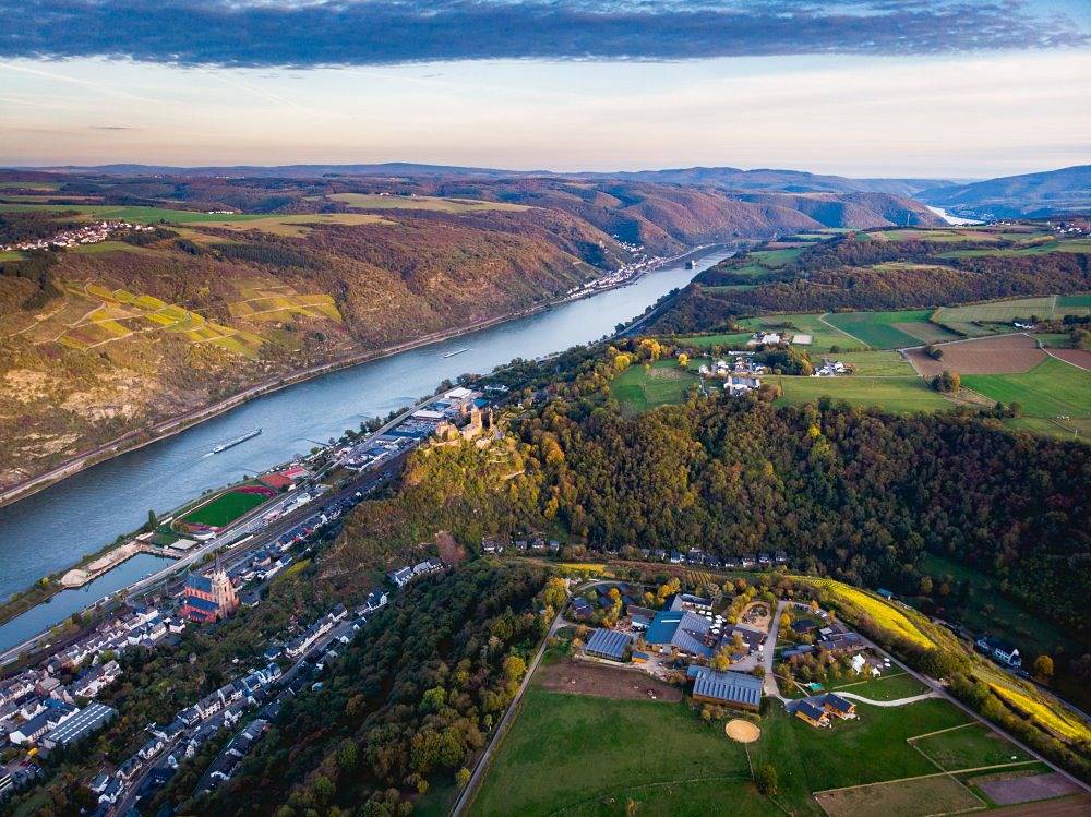 Hof Hardthöhe - Bauern- & Reiterhof - baumwipfel in Oberwesel, Mittelrhein