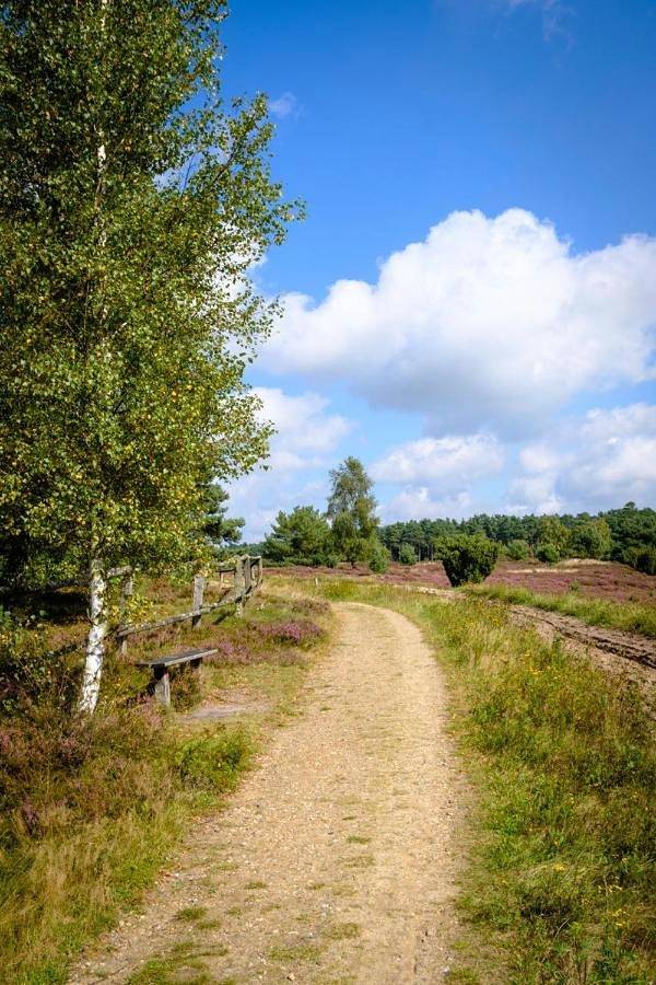 Fewo-Mundi in Egestorf, Nordheide