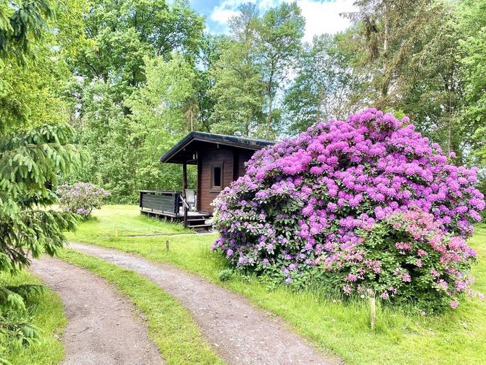 Ferienhaus für 4 Personen, mit Garten, mit Haustier - 1