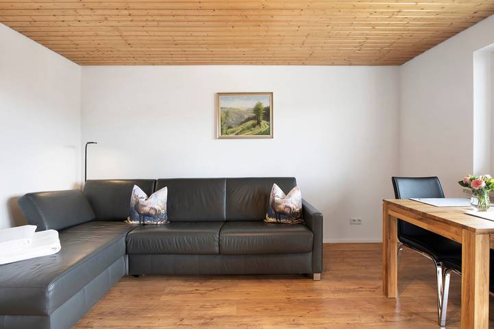 Entire apartment, Apartment 'Haus Fritz' with Private Terrace, Balcony and Wi-Fi in Dachsberg, Southern Black Forest