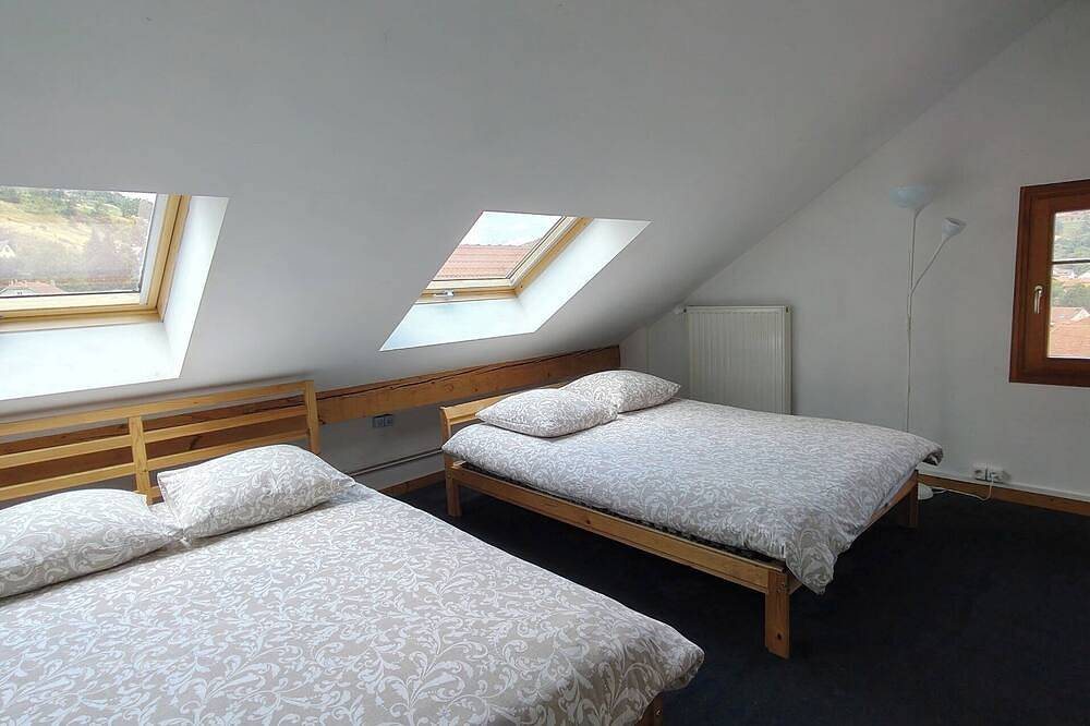 Geheel appartement, Duplex met uitzicht in het centrum van Bussang in Bussang, Parc naturel régional des Ballons des Vosges