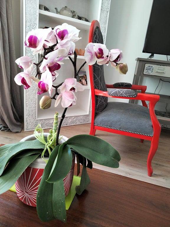 Chambre d’hôte pour 2 personnes dans l' Aveyron - 4