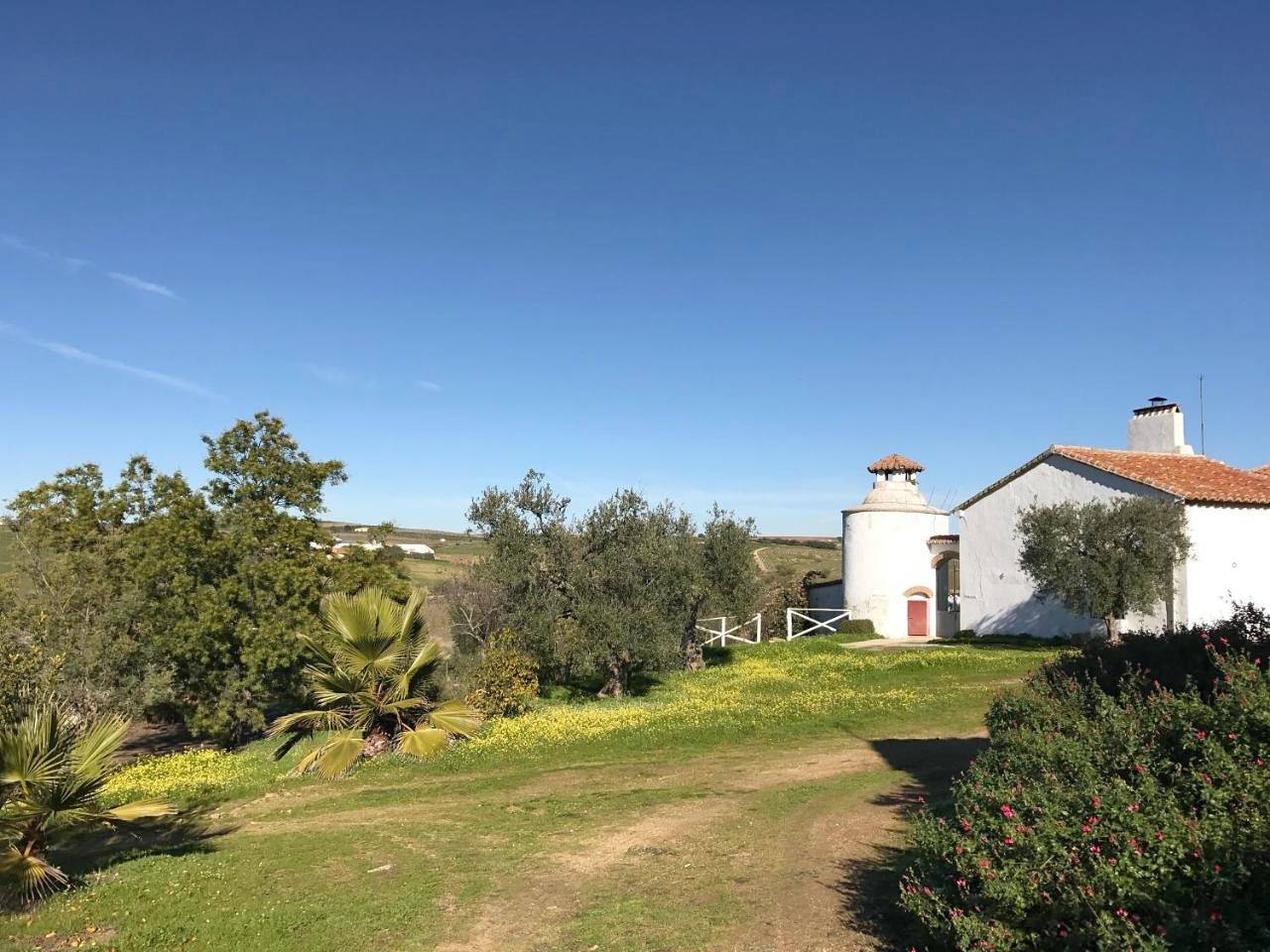 Four-Bedroom House in Azuaga, Provincia de Badajoz