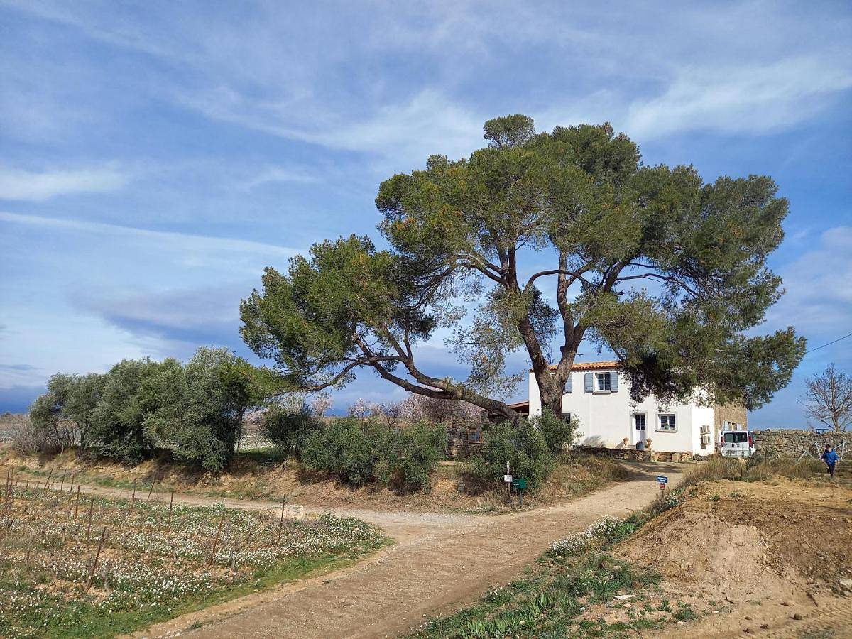Four-Bedroom House in Rieux-Minervois, Carcassonne und Umgebung