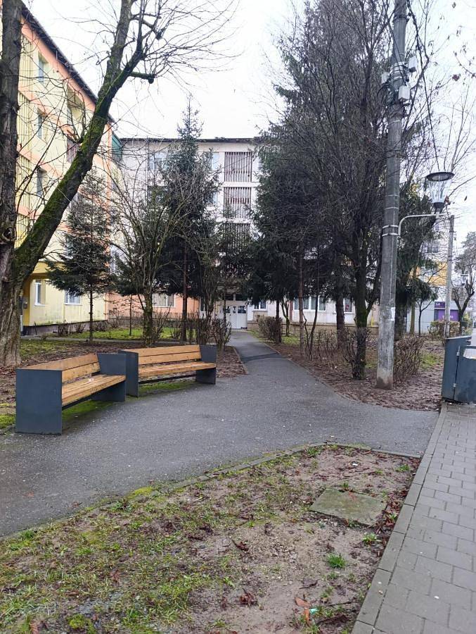 Gîte pour 3 personnes, avec jardin dans Baia Mare - 2