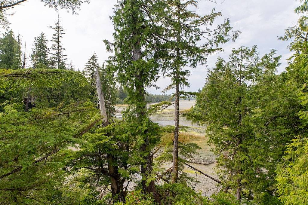 Stunning waterfront retreat! in Tofino, Alberni-Clayoquot Regional District