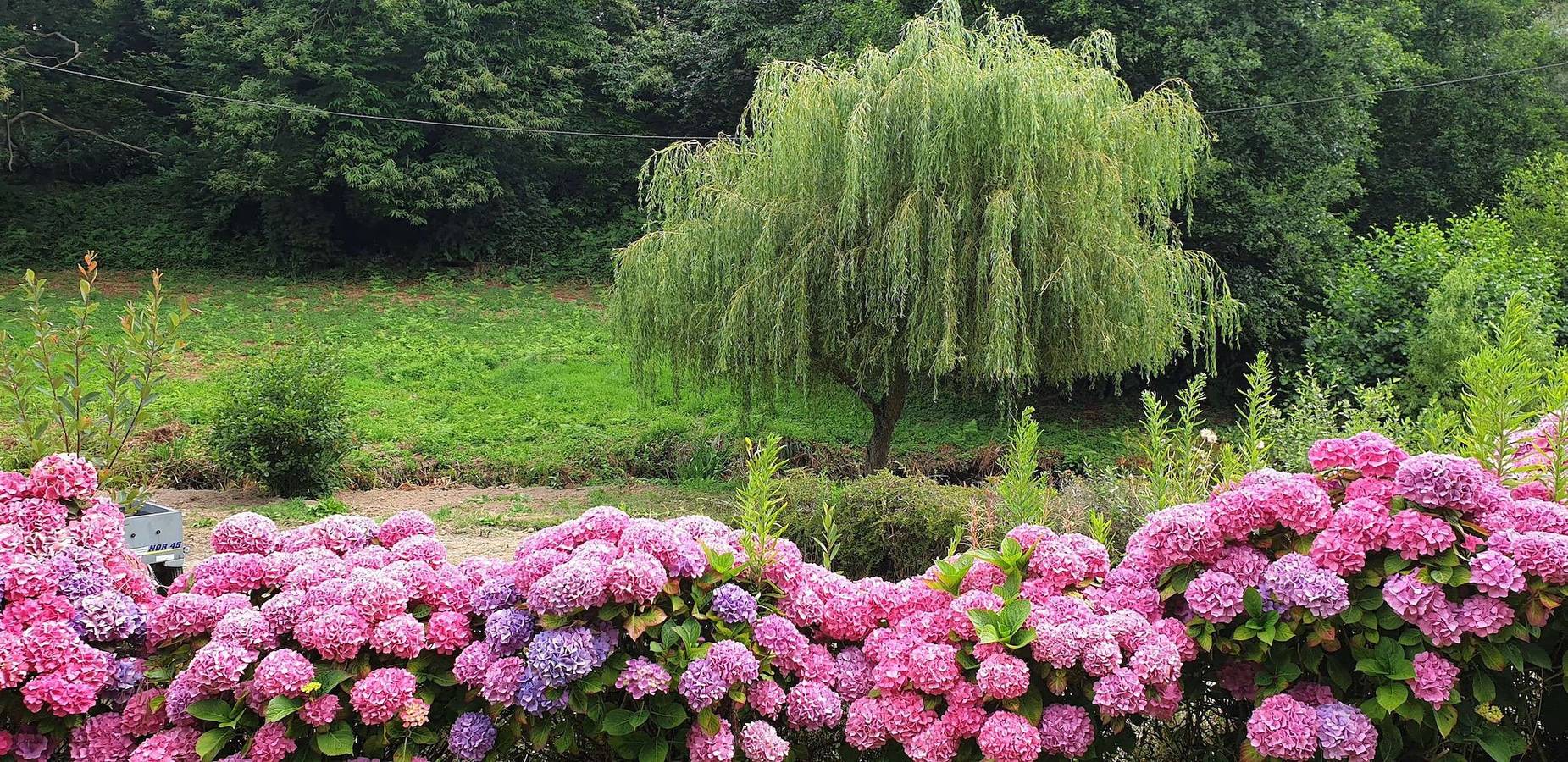 Ferienhaus für 6 Personen mit Terrasse in Saint-Quay-Perros, Rosa Granitküste