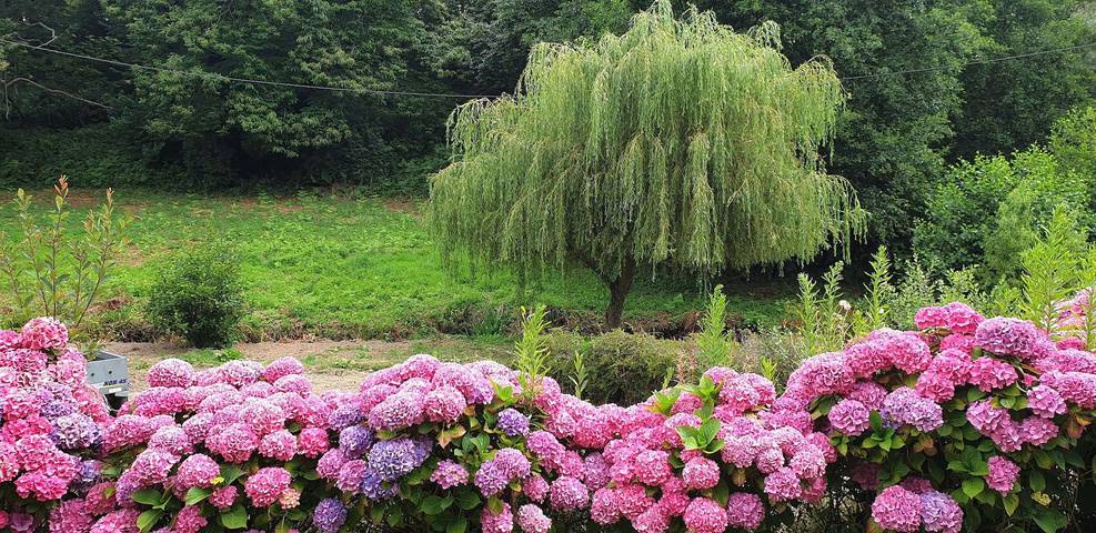 Location de vacances pour 6 personnes, avec jardin, animaux acceptés à Saint-Quay-Perros - 2