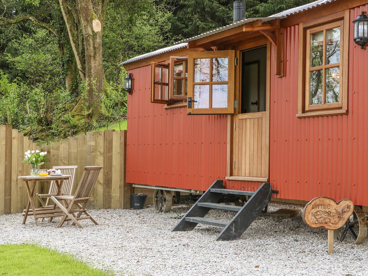 Little Silver Owl in Devon