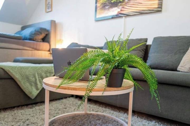 Ganze Wohnung, Apartment Olymp Gemütliche Dachgeschosswohnung im Herzen von Neuss in Neuss, Rhein-Kreis Neuss