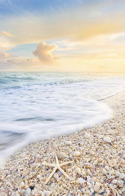 Gulf-Front: Dreamy Views, Renovated, Steps from Beach in Sanibel, Sanibel Island