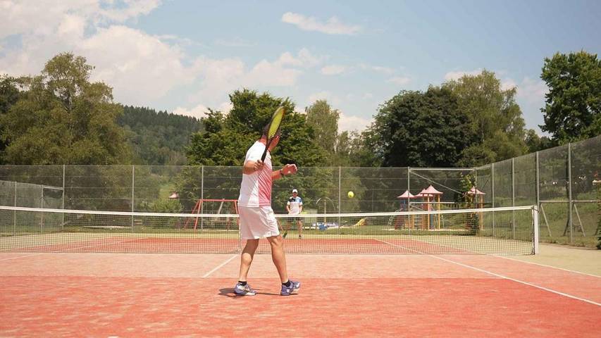 Ferienpark für 2 Personen, mit Garten und Sauna sowie Pool, mit Haustier in Österreich - 3