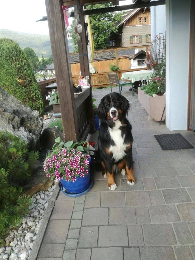 Holiday Home in Loferer und Leoganger Steinberge, Leogang