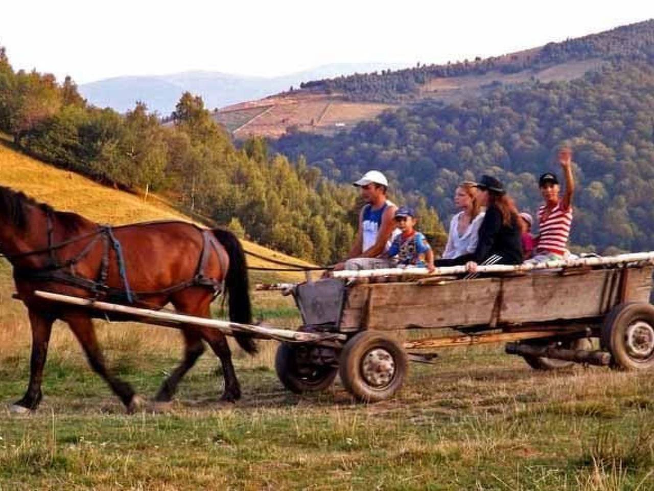 In Sibiel mit Terrasse und Grill in Karpaten