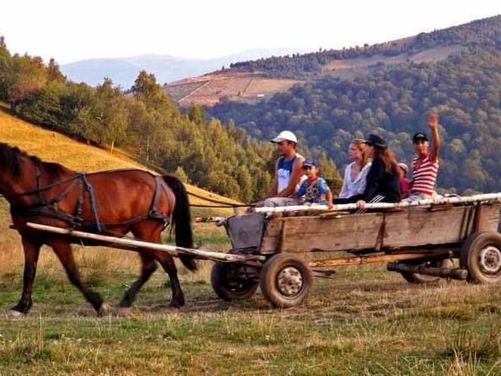 Location de vacances pour 4 personnes, animaux acceptés en Roumanie - 3