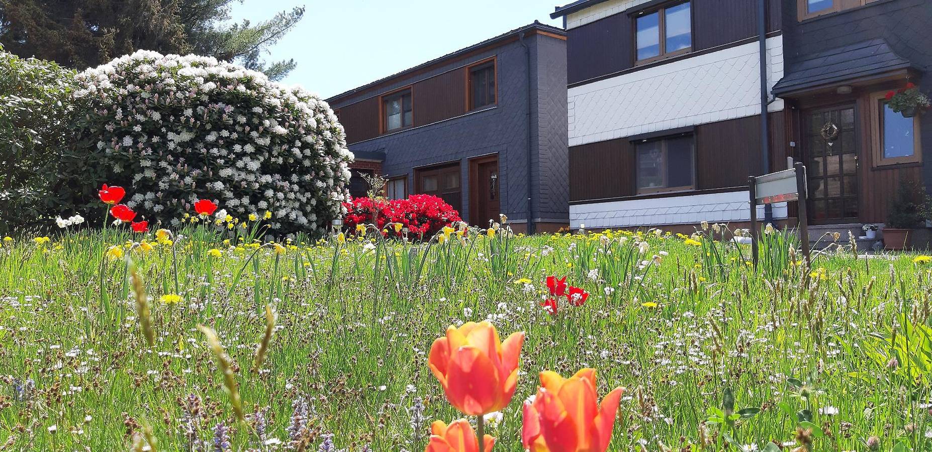 Ganze Ferienwohnung, Ferienwohnung mit Gartenterrasse in Meuselbach-Schwarzmühle, Frankenwald