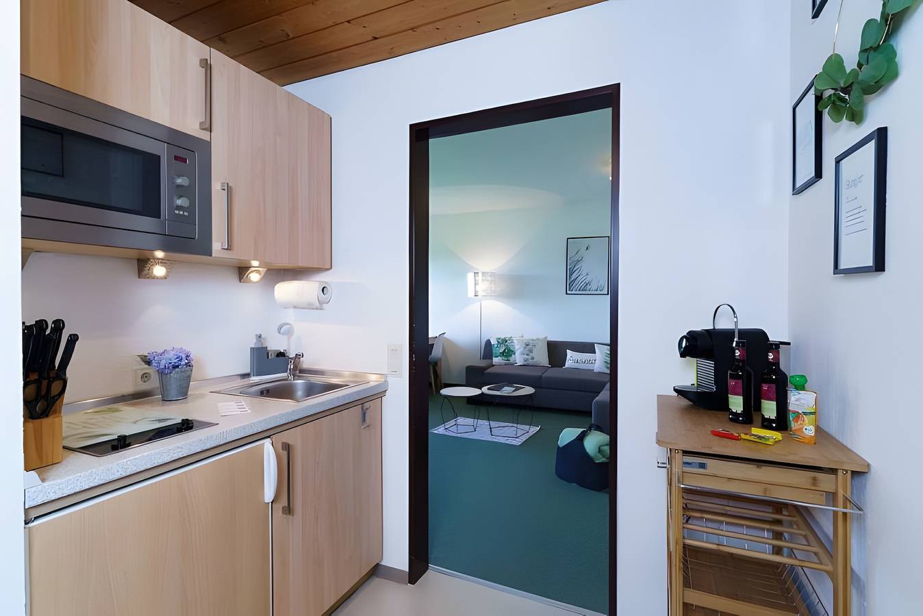 Entire apartment, Panoramic Lake View, 40sqm, 1 Bedroom, 1 Living/Sleeping Room, up to 4 Guests in Wasserburg (Bodensee), Bavarian Swabia