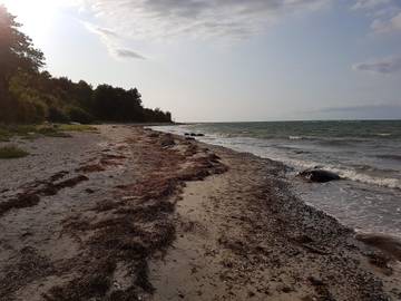 Ferieudlejning til 6 Personer i Asnæs, Odsherred, Billede 3