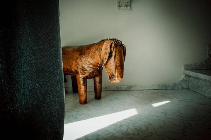 Location de vacances pour 3 personnes, avec piscine ainsi que jardin et vue à Frasnes-lez-Anvaing - 4