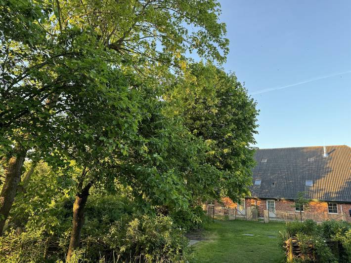 Ferienwohnung für 2 Personen, mit Garten, mit Haustier in Butjadingen - 3