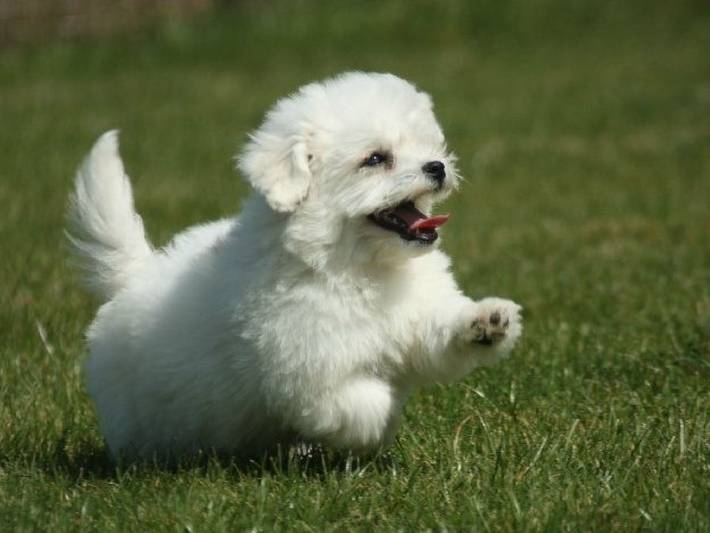 Location de vacances pour 4 personnes, avec jardin et terrasse à Lanquais - 2