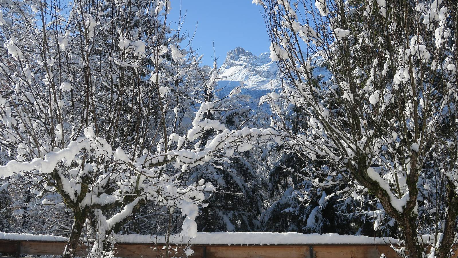 Appartamento intero, Appartamento 'Bruna' con vista sulle montagne, terrazza privata e Wi-Fi in Pelmo, Forno di Zoldo