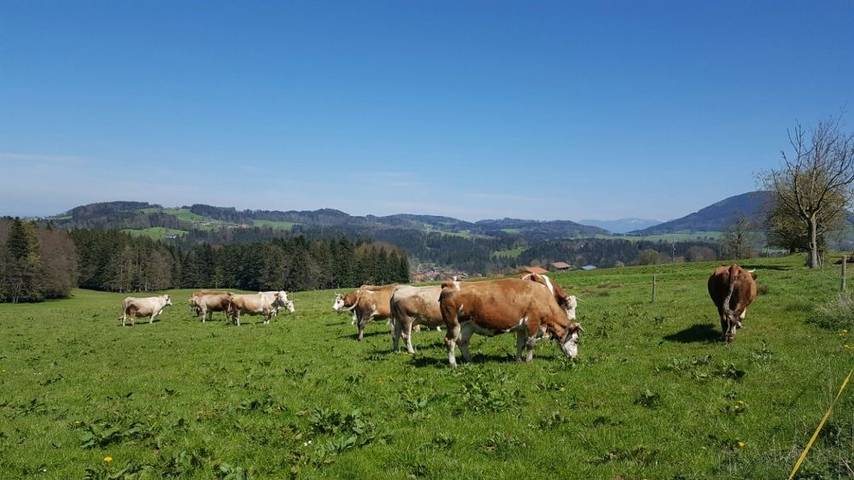 Bauernhof für 6 Personen, mit Balkon und Garten in Alpenland Tegernsee Schliersee - 3