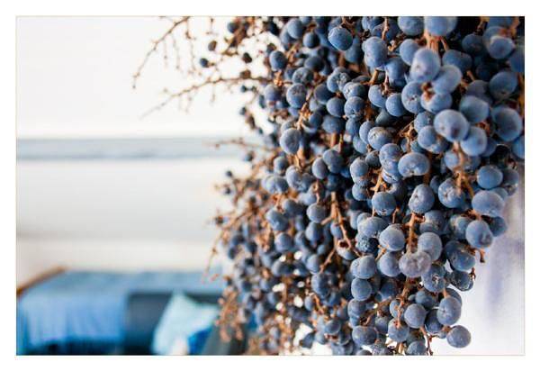 Ferienwohnung für 4 Personen, mit Seeblick und Balkon im Tessin - 4