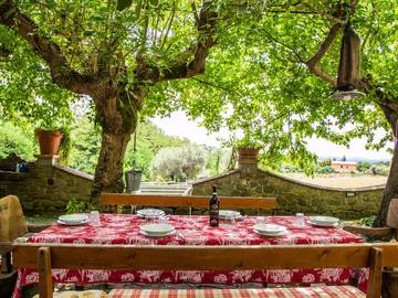 Villa for 15 People in Cortona, Arezzo Province, Photo 2