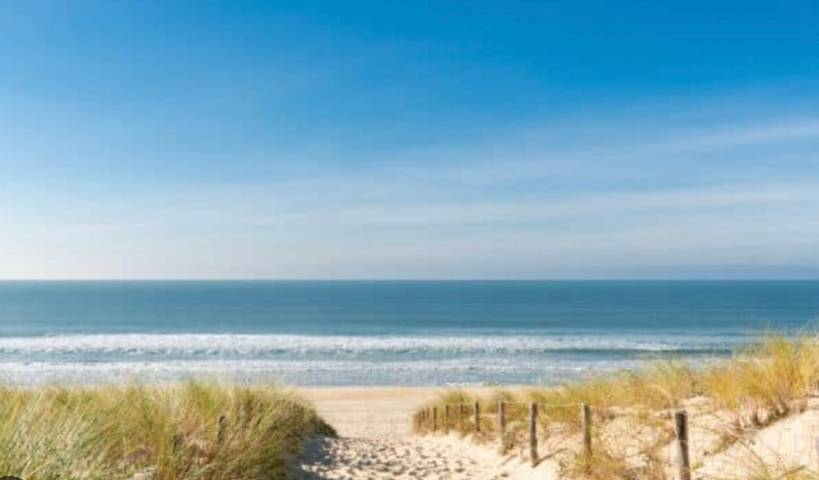 Charmant studio au pied des dunes avec terrasse partagée in Lège-Cap-Ferret, Région d'Arcachon