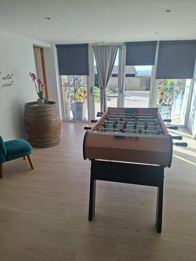 Location de vacances pour 8 personnes, avec sauna et jacuzzi, animaux acceptés à Allemant - 2