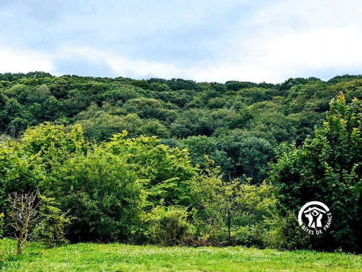 Gemütliches Chalet in der Natur, 5 km von Laval, 4 Personen, Terrasse, Aktivitäten vor Ort in Saint-Berthevin, Mayenne