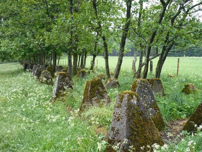 Ferienhaus für 6 Personen, mit Garten und Terrasse in Hellenthal - 3