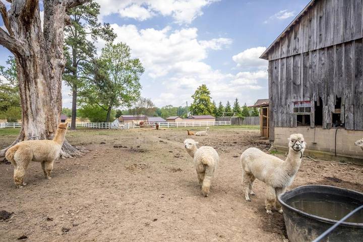 Appartement de vacances pour 6 personnes, avec jardin, animaux acceptés - 1