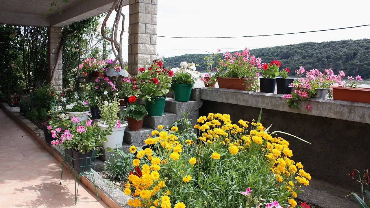 Appartamento vacanze a Rab a partire da 84€ a notte