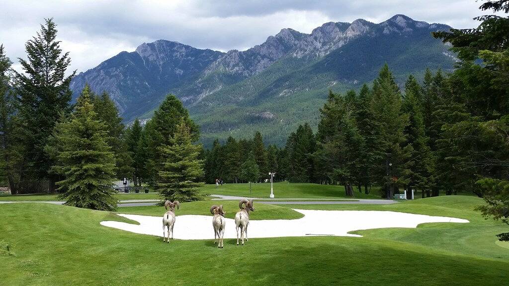 Ferienwohnung - Invermere B. C. in Kootenay-Nationalpark