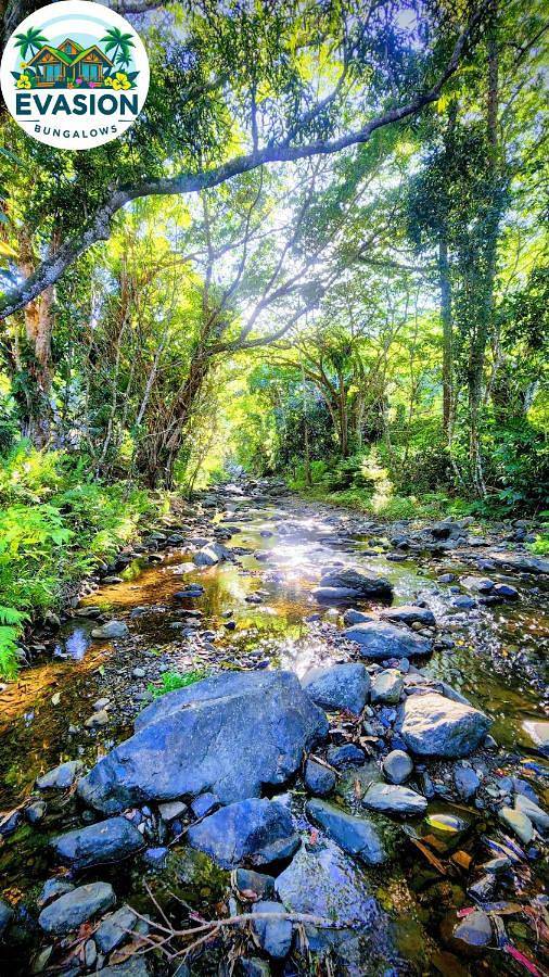 Location de vacances pour 4 personnes, avec terrasse ainsi que jardin et vue, animaux acceptés En Nouvelle-Calédonie - 3