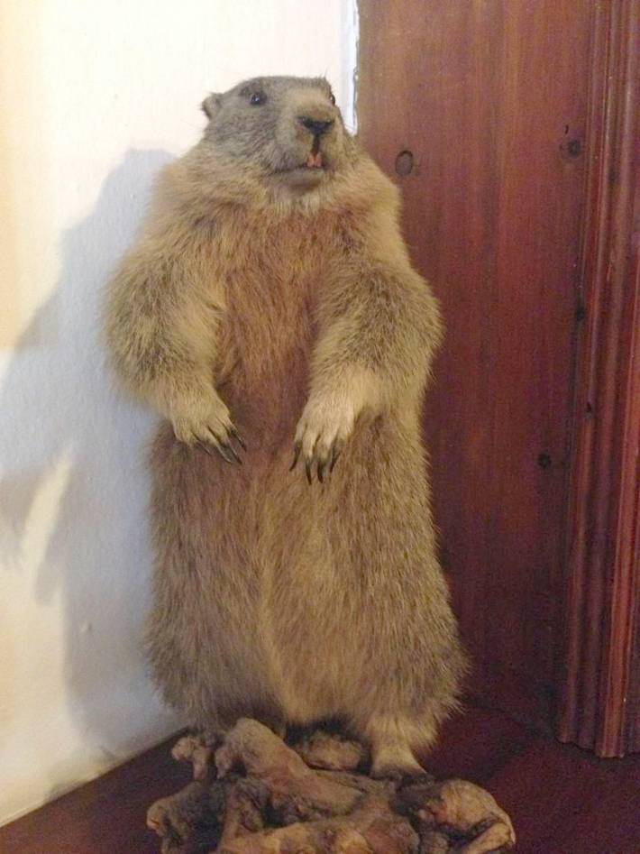 Location de vacances pour 2 personnes, avec vue ainsi que terrasse et jardin à Tarrenz - 2