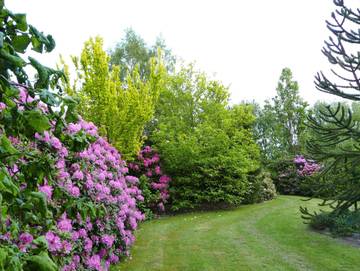 Ferienwohnung für 7 Personen in Utarp, Landkreis Wittmund, Bild 4