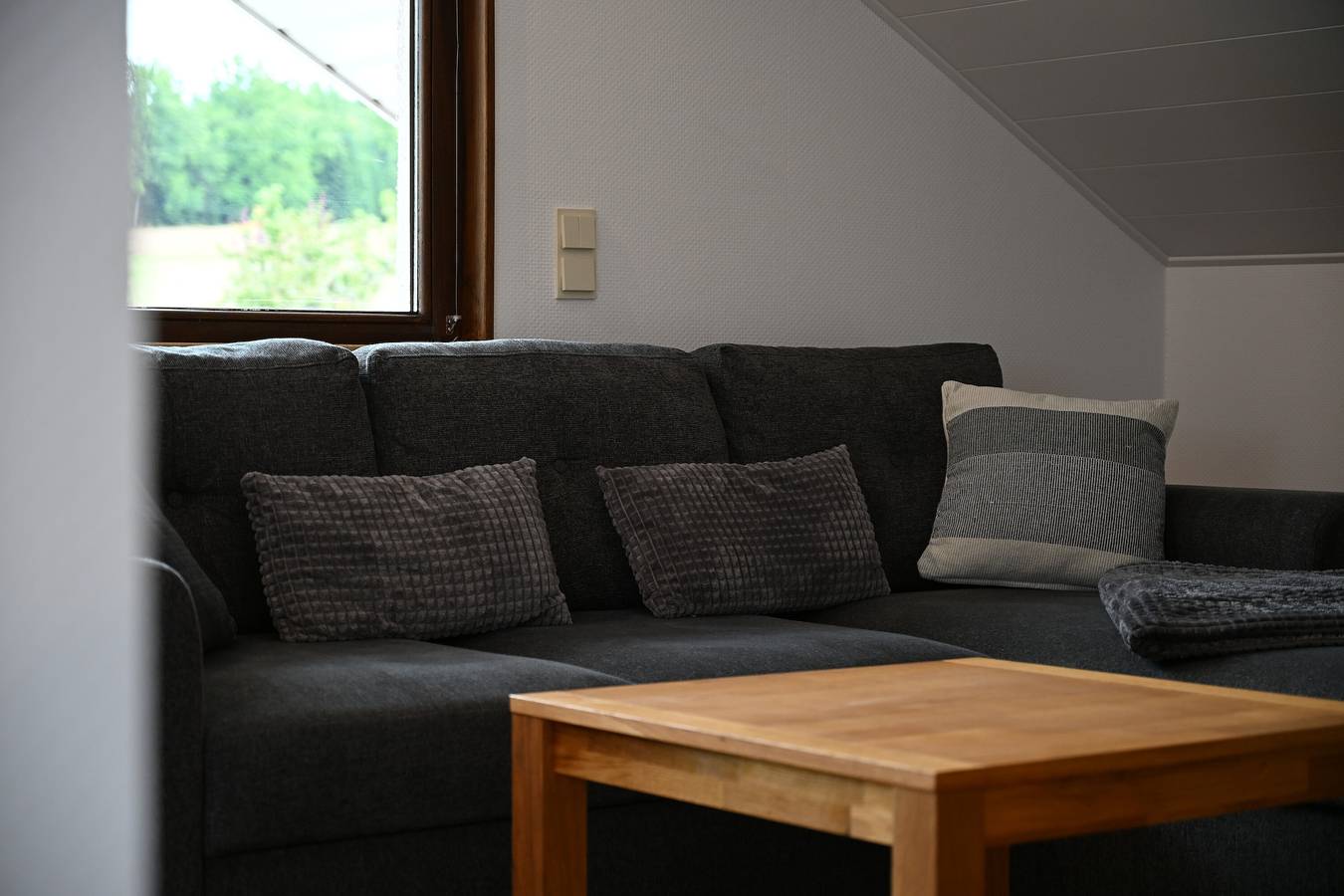 Ganze Wohnung, Geräumige ferienwohnung im nordschwarzwald in Altensteig, Nordschwarzwald
