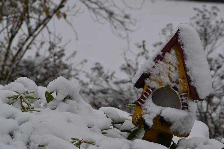 Bauernhof für 2 Personen in Altes Land Stade - 2