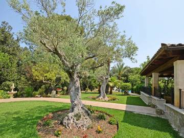 Villa in Campanet, Mallorca Inselmitte für 8 