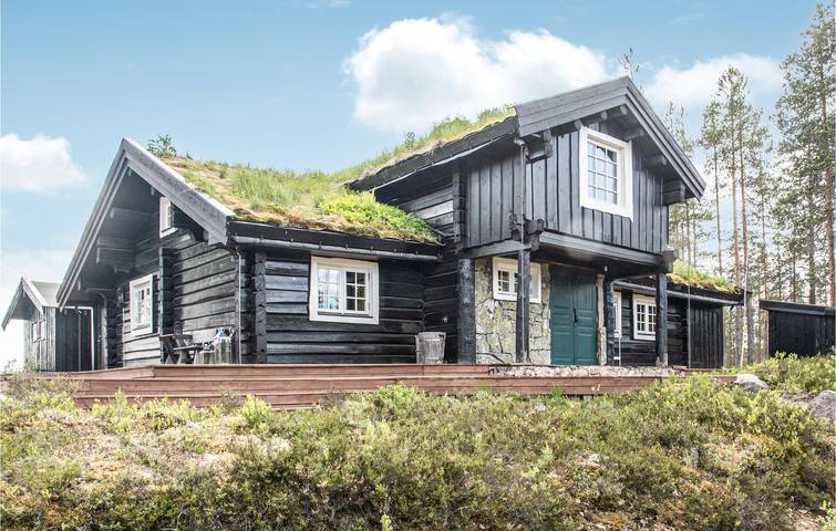 Ferienhaus für 8 Personen, mit Terrasse und Garten in Trysil