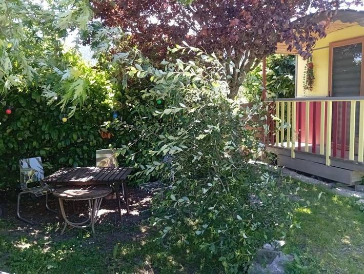 Location de vacances pour 2 personnes, avec vue et jardin à Roquefort-de-Sault - 4