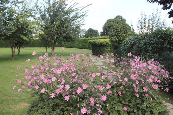 Chambre d’hôte pour 3 personnes, avec jardin et vue à Coni - 4