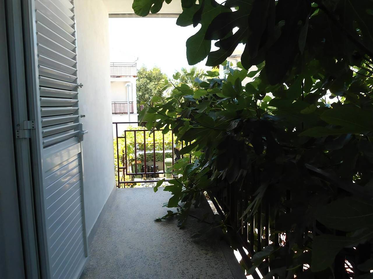 Ganze Wohnung, Apartments Villa Tanja in Vodice, Šibenik-Knin