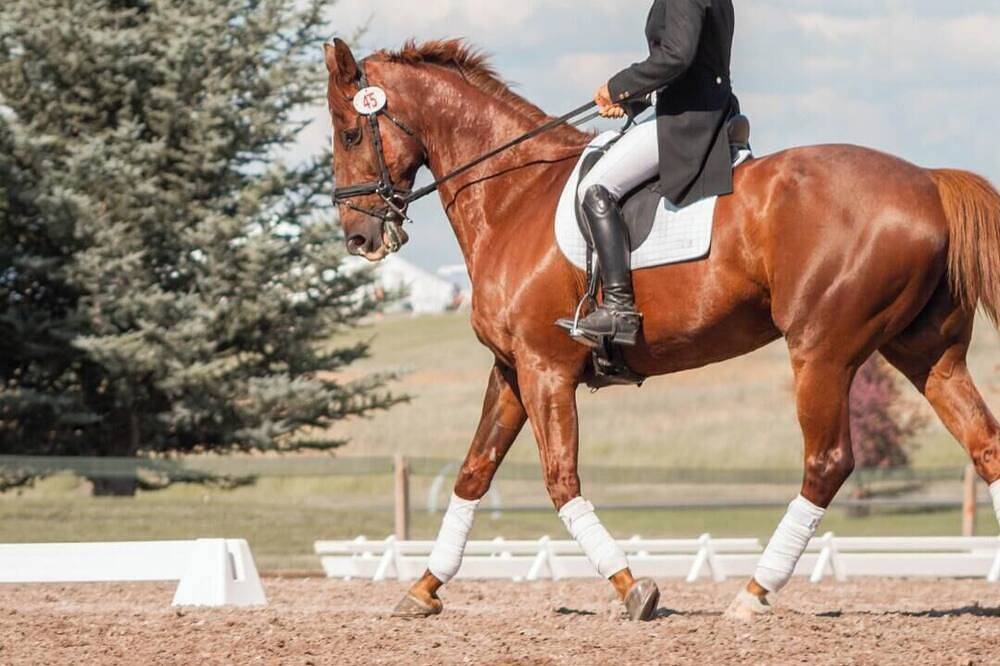 Entire apartment, Château Walk Studio in Fontainebleau, Seine-et-Marne