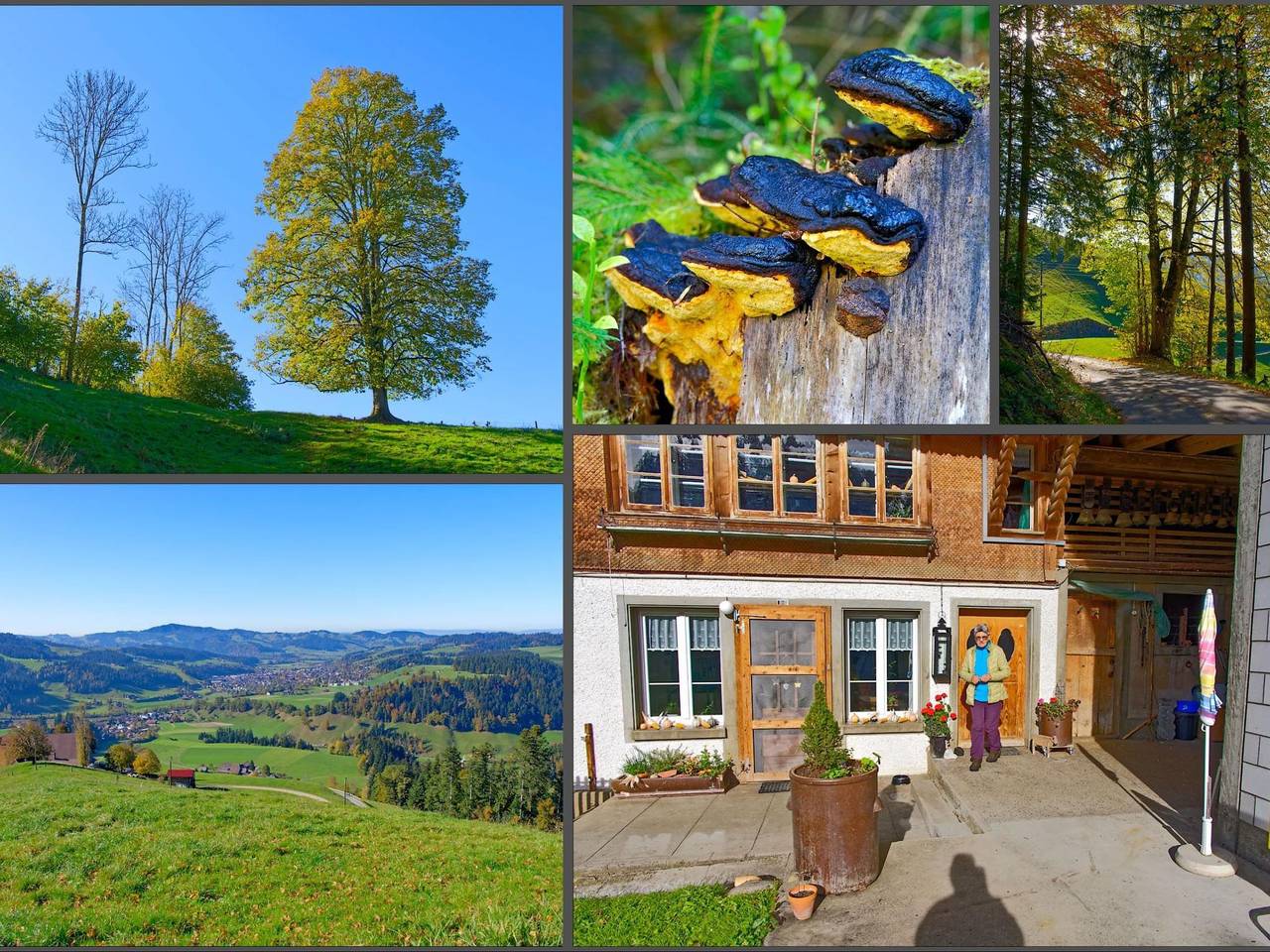 Ganze Wohnung, Emmental Ferien in Langnau im Emmental, Kanton Bern